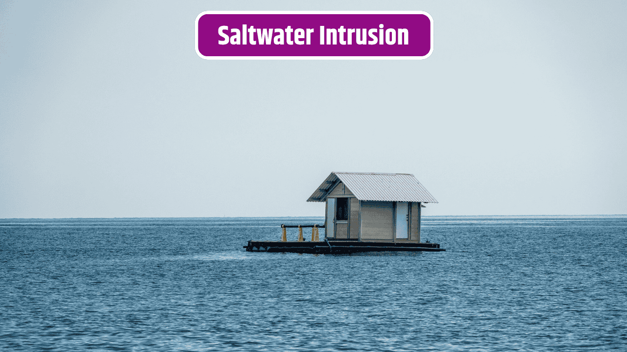 Saltwater Intrusion Is Threatening Coastal Homes