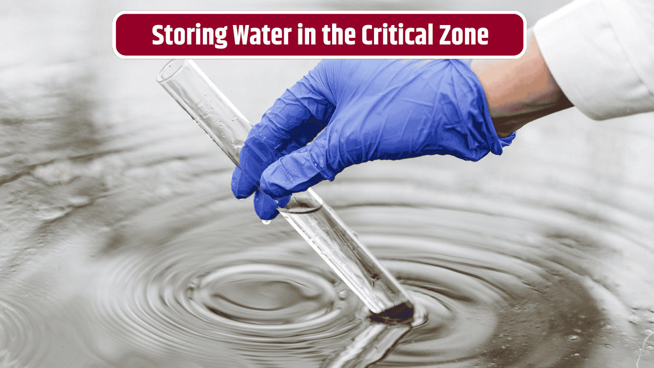Why Storing Water in the Critical Zone Is Essential for Ecosystem Survival