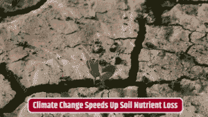 Climate Change Is Altering Soil Nutrients Faster Than We Ever Expected