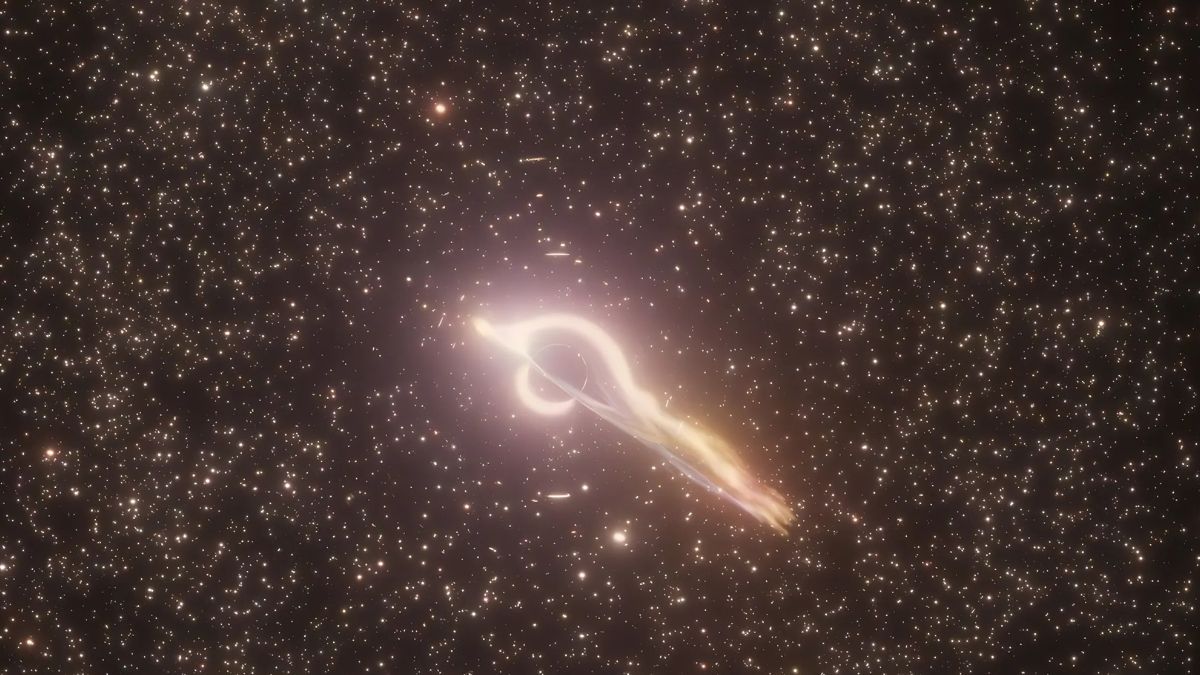 Black Hole