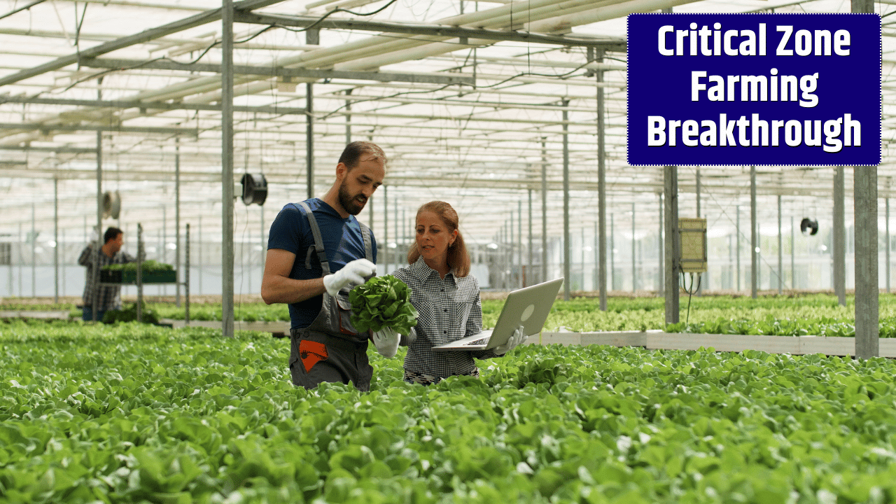 How Critical Zone Science Could Revolutionize Sustainable Farming Worldwide
