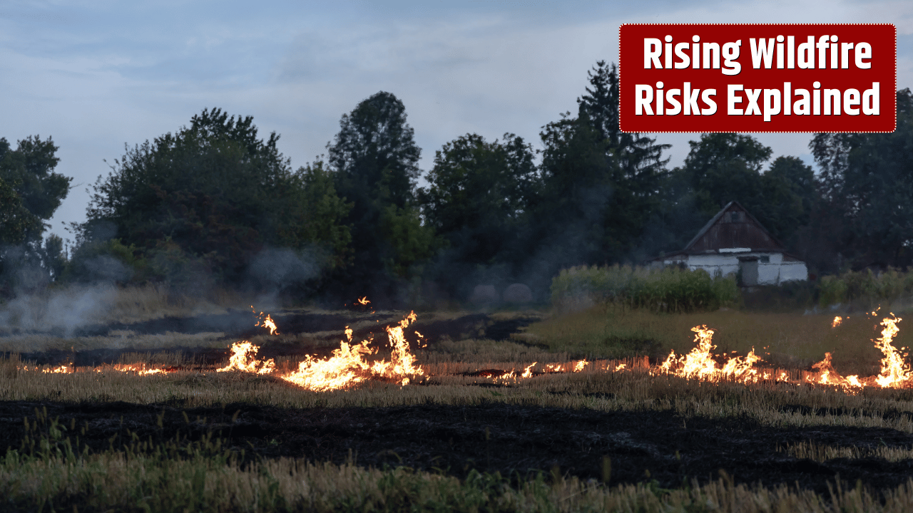 Wildfire Severity in Mountain Regions Is Rising – Experts Explain the Hidden Dangers