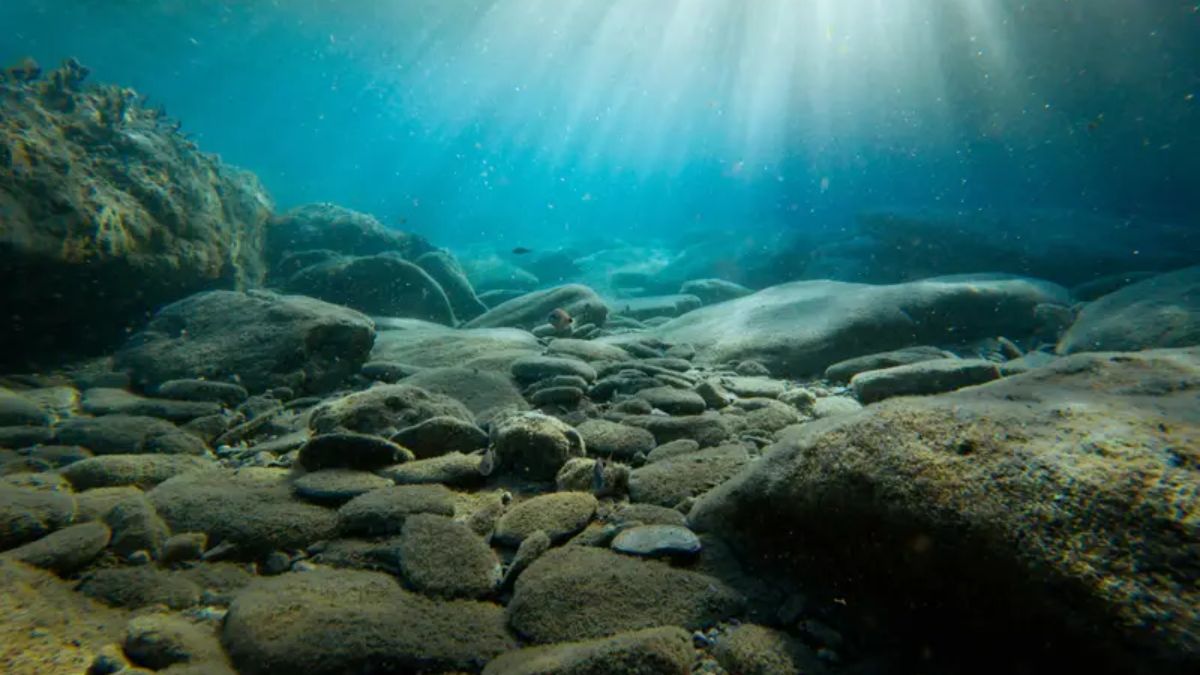 Amateur Diver
