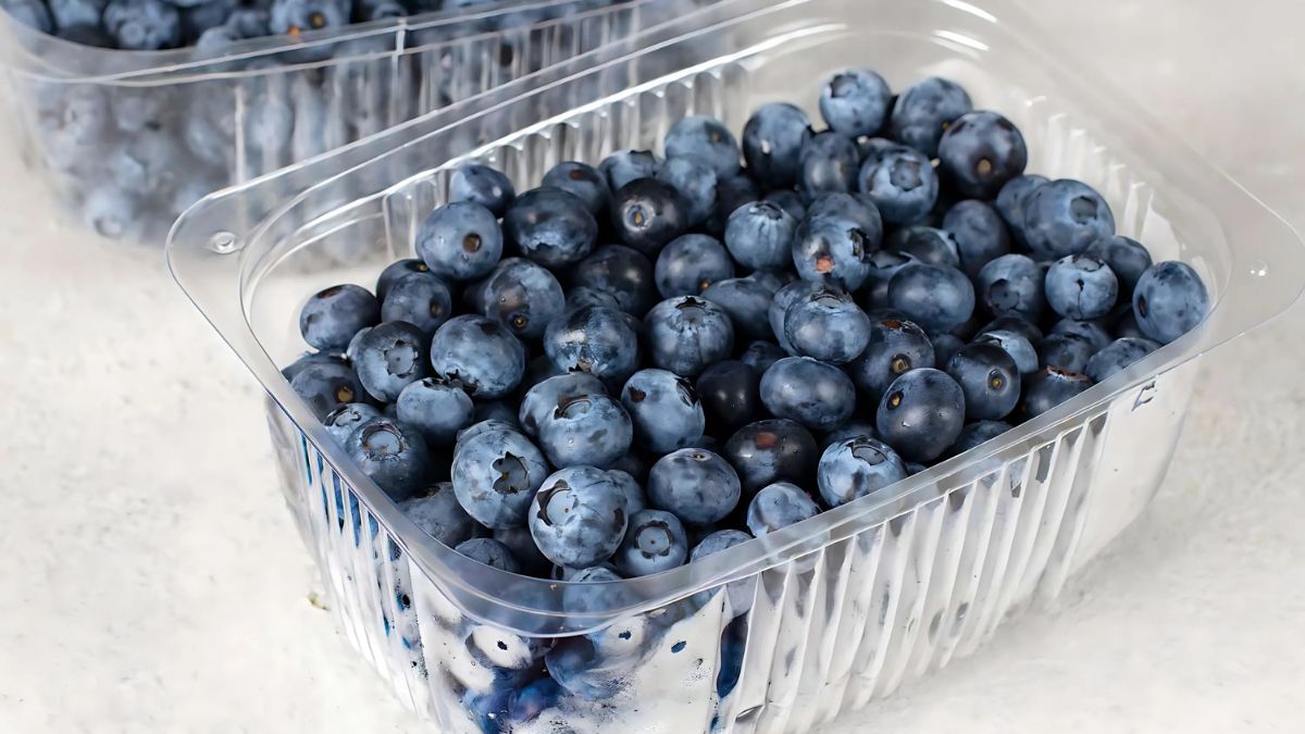 Blueberries