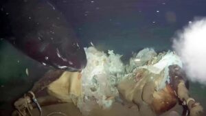 China Sea Experiment