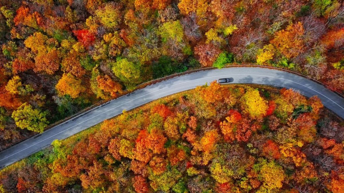 Fall Travel Guide