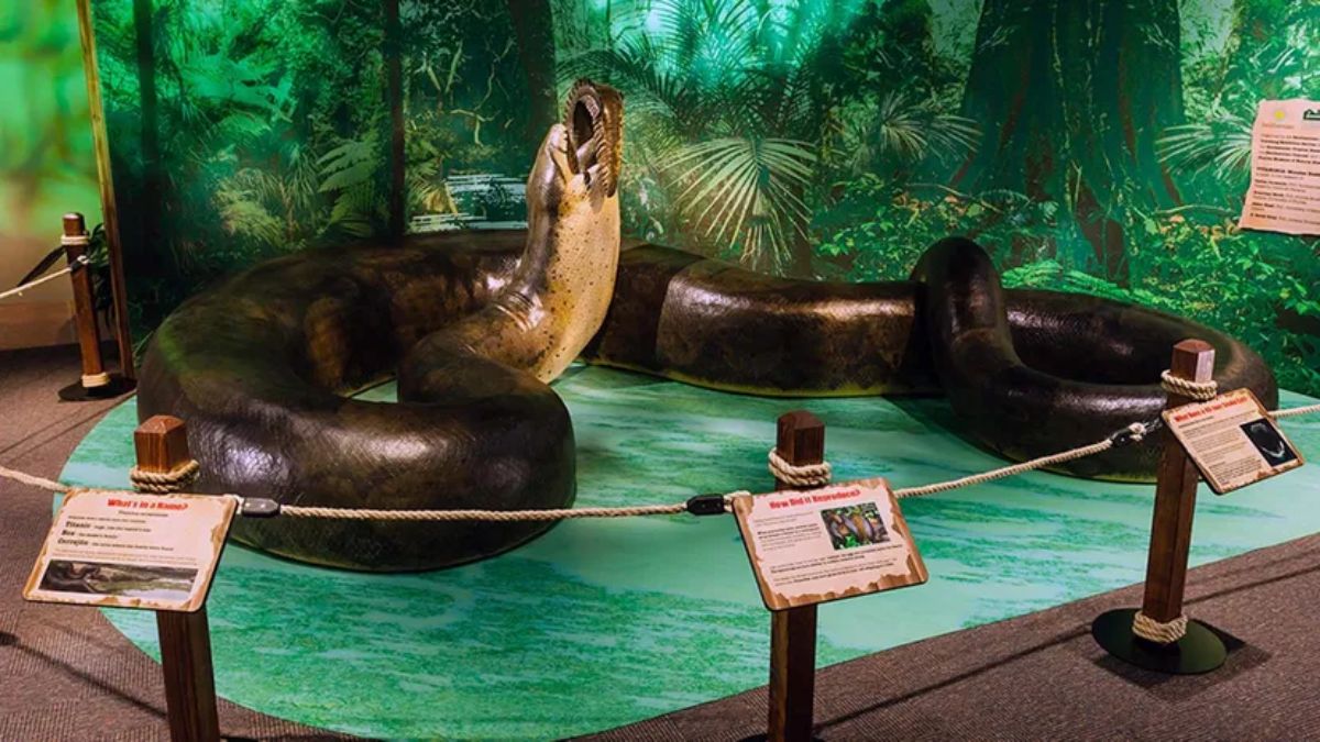 Giant Snake