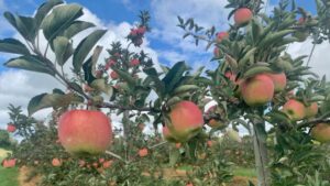 Ontario Farm Policy Change