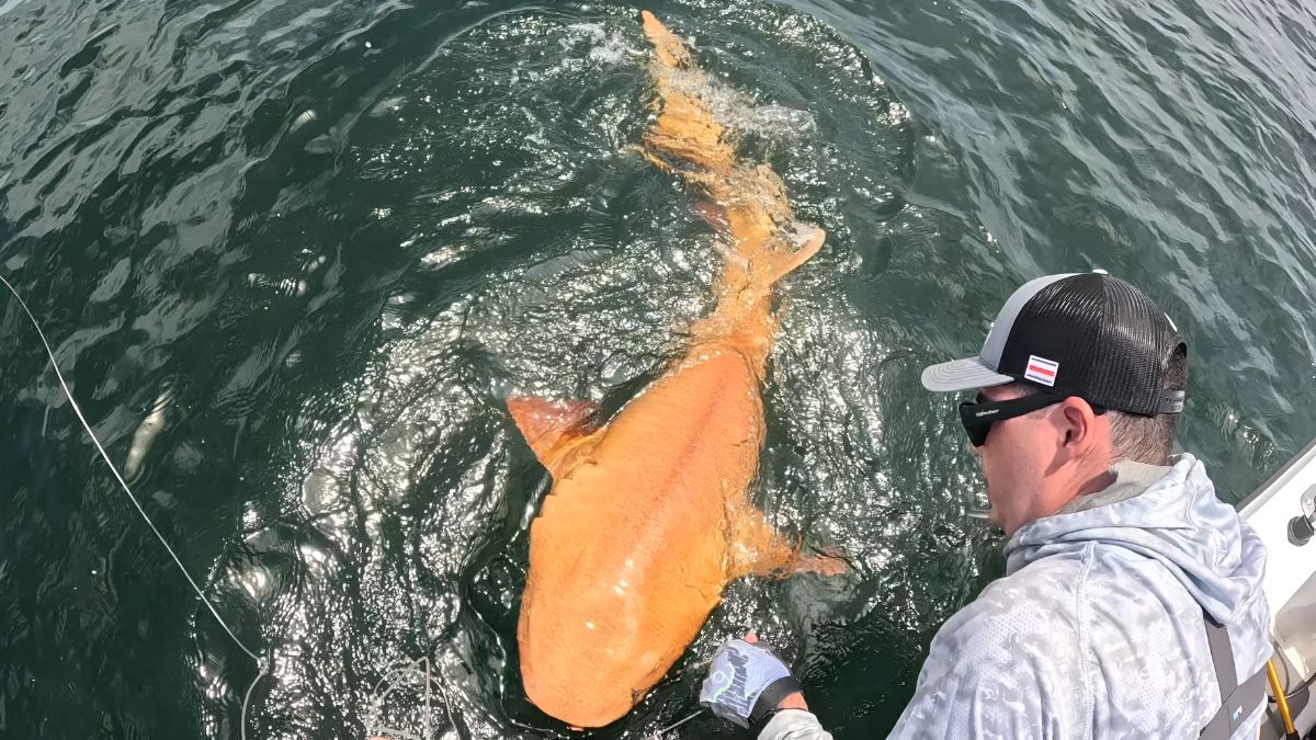 Rare Fish