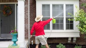 Window Cleaning